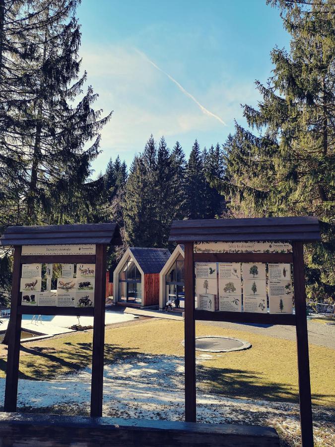 Drewniana Roza Domki Karkonosze Piechowice (Karkonosze) Exterior foto