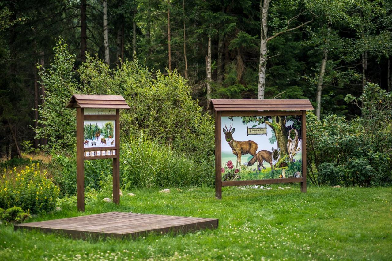 Drewniana Roza Domki Karkonosze Piechowice (Karkonosze) Exterior foto